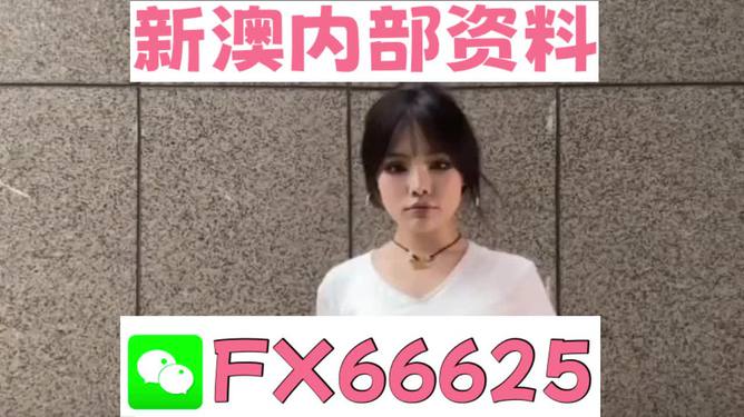 澳門資料大全正版資料查詢，探索澳門的文化與歷史深度之旅，澳門文化與歷史深度探索，正版資料大全及查詢指南