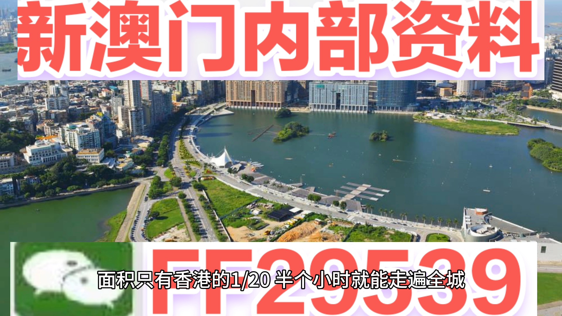 澳門特碼，探索其背后的秘密與魅力，澳門特碼背后的秘密與魅力探索