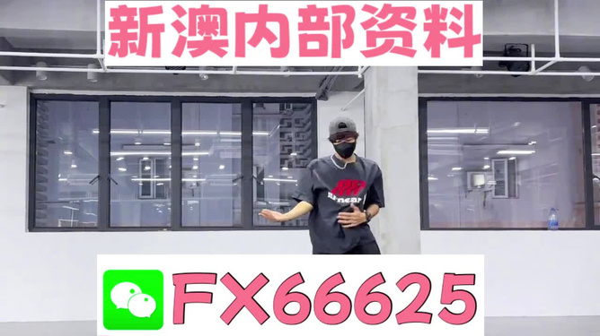 澳門管家婆100中，探索其背后的秘密與魅力，澳門管家婆背后的秘密與魅力探索